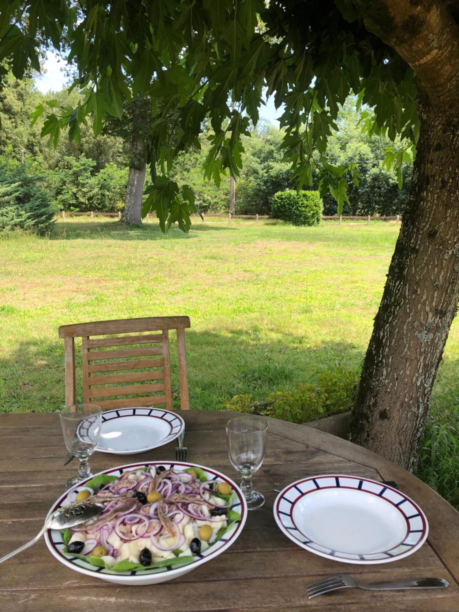 Appartement En Pleine Nature Soustons Eksteriør billede